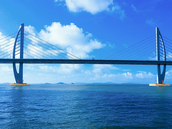 海上觀港珠澳大橋，邂逅中華白海豚